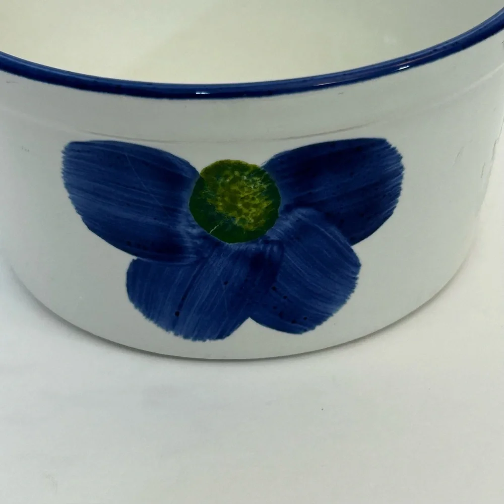 Maxam Ramekins Small Baking Dishes Microwave and Oven Safe Hand Painted Portugal